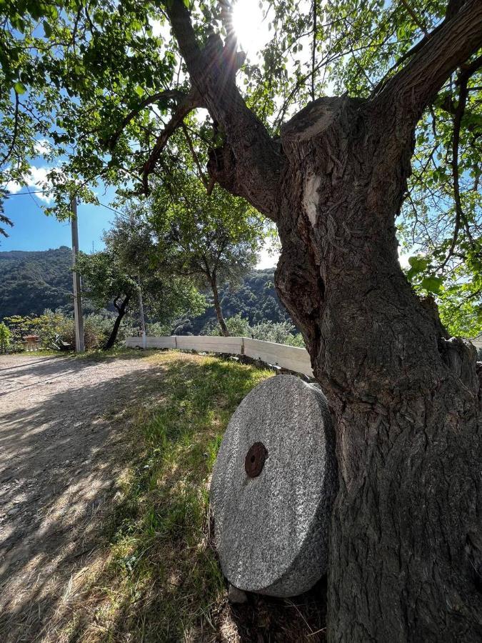 Casa Maria Host Green - Casa Vacanze - Rossano Case San Francesco المظهر الخارجي الصورة